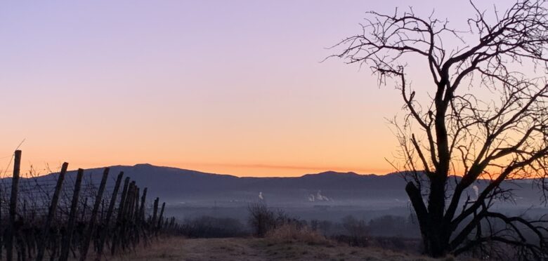 Jedes Leben hat Magie, Entfessele sie.